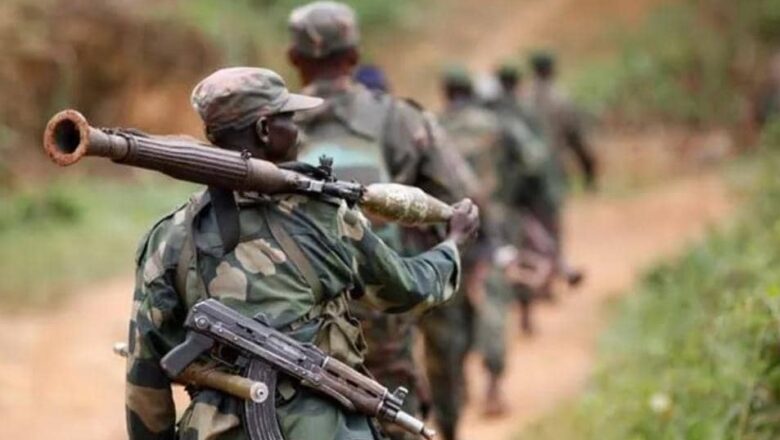 Nord-Kivu : L’armée neutralise 2 terroristes ADF près d’Oicha