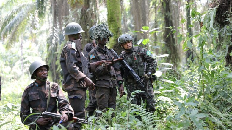Nord-Kivu : plus de 30 soldats congolais formés sur les combats de jungle à Beni