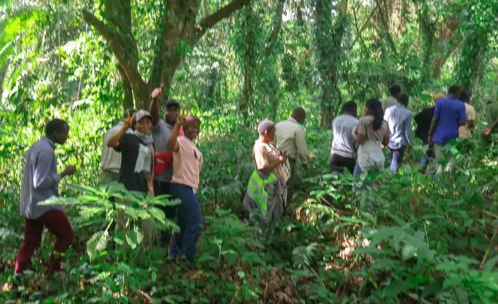 Parc des Virunga : L’ICCN rassure de l’évolution des recherches scientifiques dans son rayon d’action