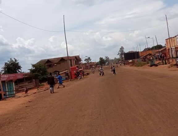 Beni : Des morts et des maisons de commerce incendiées dans une attaque des terroristes à Mangina
