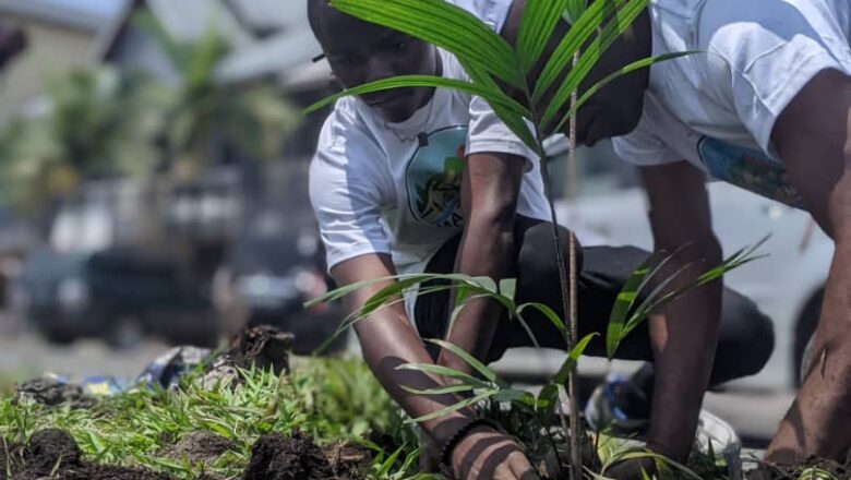 Réchauffement climatique: A Goma, la FECOPEILE se lance dans la plantation d’arbres