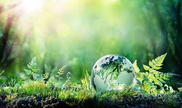 Journée mondiale de l’environnement:« Ensemble, construisons un avenir durable pour la terre, et pour l’humanité » (António Guterres)