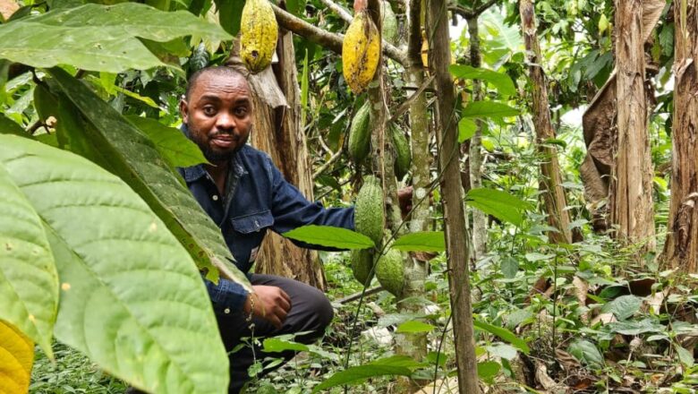 RDC: L’engagement de Jean-Marie Malekani traduit la force de la SOPROCOPIV pour le développement agricole du Nord-Kivu et de l’Ituri