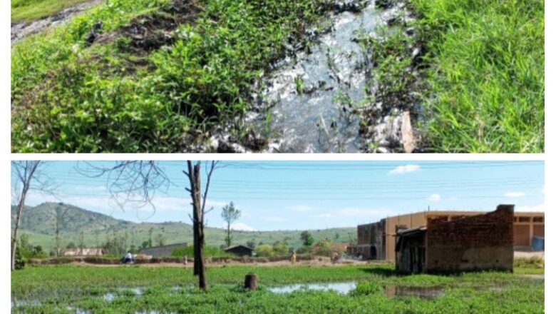 JM de l’Environnement : Kasindi une belle cité, « des eaux stagnantes » asphyxient la santé des habitants!